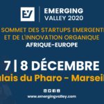 Emerging valley 2020