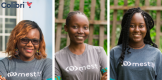 Colibri Africa : sous-traitez vos tâches numériques en Afrique dès aujourd’hui COLIBRI Africa